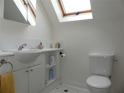 Picture 24
